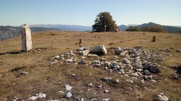 Arrizazen zista eta zutarria