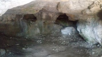 Urisolo goba