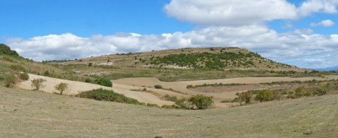 Mendiburu