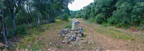 Tontorra