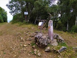 Tontorra
