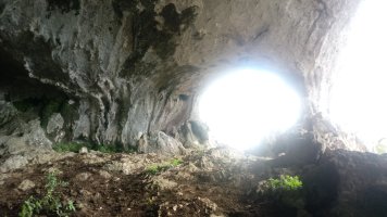 Sagastakoba
