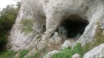 Sagastakoba