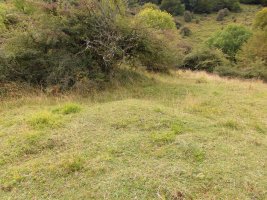 PLAZEGI II T4