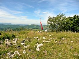 Tontorra