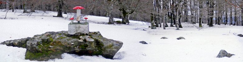 Tontorra