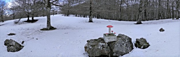 Tontorra