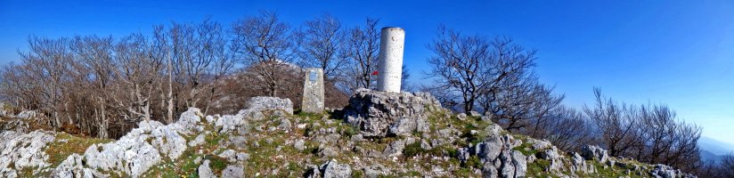 Tontorra