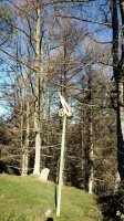 Korosomuino (781m) postontzia