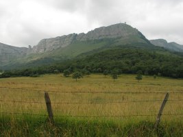 IEko isurialdea