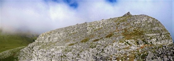 Aldamin