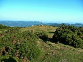 Tontorra