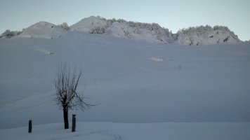 Zabalaitz elurtuta
