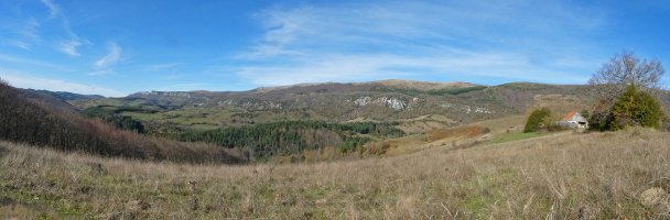 Abodi Muskildatik 