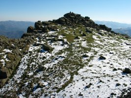 Tontorra