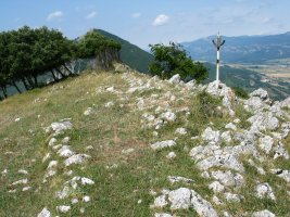 Tontorra