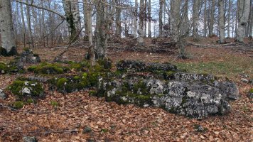 Larrazabal 1-2 zutarria, Entzia