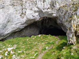 Koba Haundi