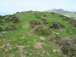 Tontorra