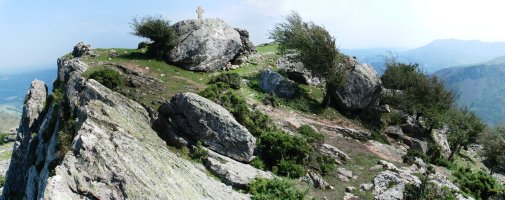 Tontorra