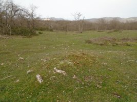 lezaundi norte