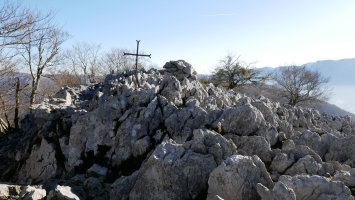 Tontorra