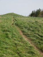Txurro