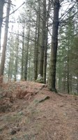 Garbe (513m) tontorra