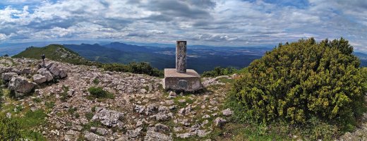 Tontorra