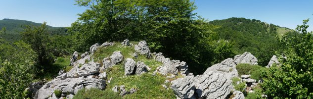 Txurtxur tontorra