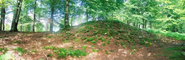 Tontorra