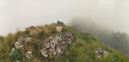 Tontorra