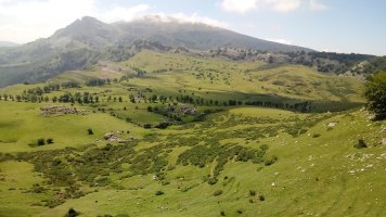 Arrabako zelaiak