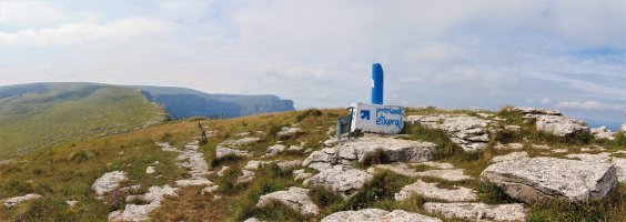 Tontorra