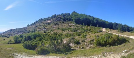 Arluzea Lepotik