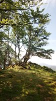 Burga (872m) gaina
