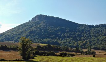 Murube