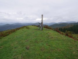 Eskorlako tontorra