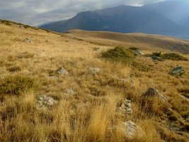 la estiva oeste 2