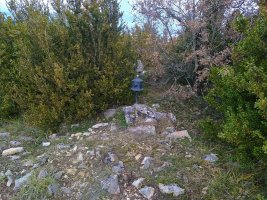 Tontorra