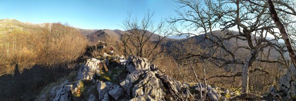 Tontorra
