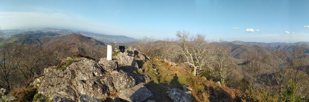 Tontorra