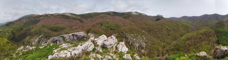 Tontorra