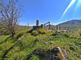 Tontorra