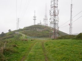 Tontorra
