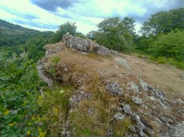 Tontorra
