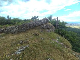 Tontorra