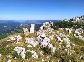 Tontorra