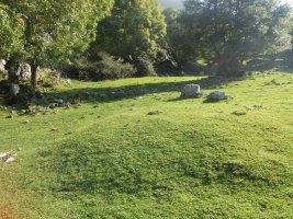 oidui
