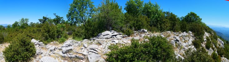 Tontorra, Borreguil